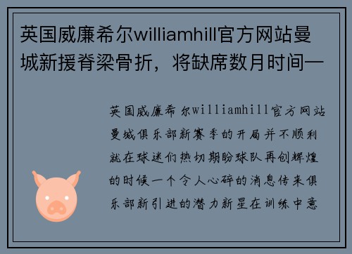 英国威廉希尔williamhill官方网站曼城新援脊梁骨折，将缺席数月时间——揭示职业球员背后的艰难与挑战 - 副本
