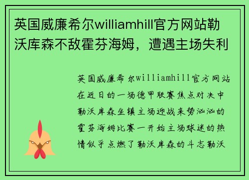 英国威廉希尔williamhill官方网站勒沃库森不敌霍芬海姆，遭遇主场失利